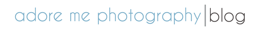 Utah Photographer | Wedding | Family | High School Seniors | Newborn | Children | Park City | Salt Lake CIty | Utah County | Davis County logo